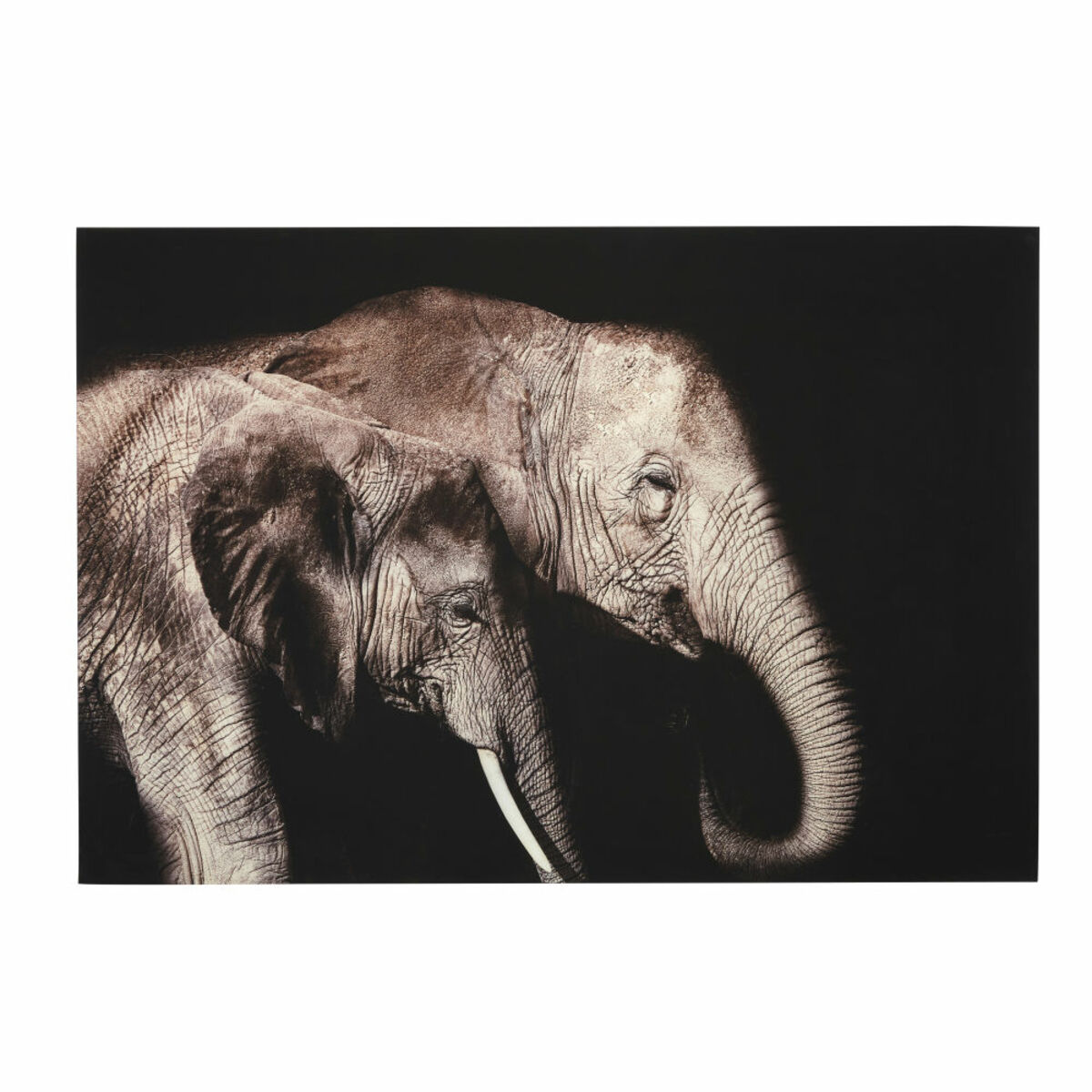 Cuadro de foto de plexiglás con estampado de elefantes 150x100